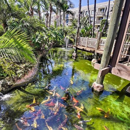 Charming Oceanside Condo With Beach And Pool Access! Dış mekan fotoğraf