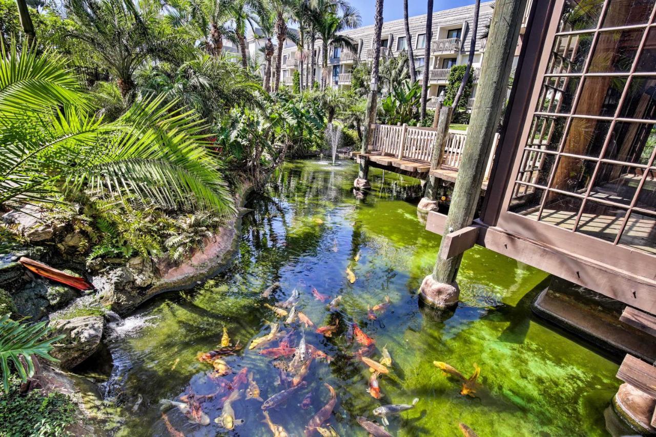 Charming Oceanside Condo With Beach And Pool Access! Dış mekan fotoğraf